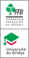Logo univ bridge v 516x1024 1