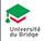 Logo univ bridge petit